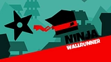 Ninja Wall Runner